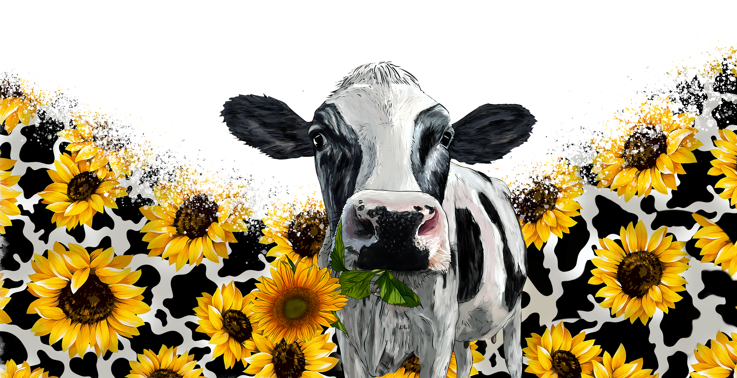 Cow's wraps and T shirt