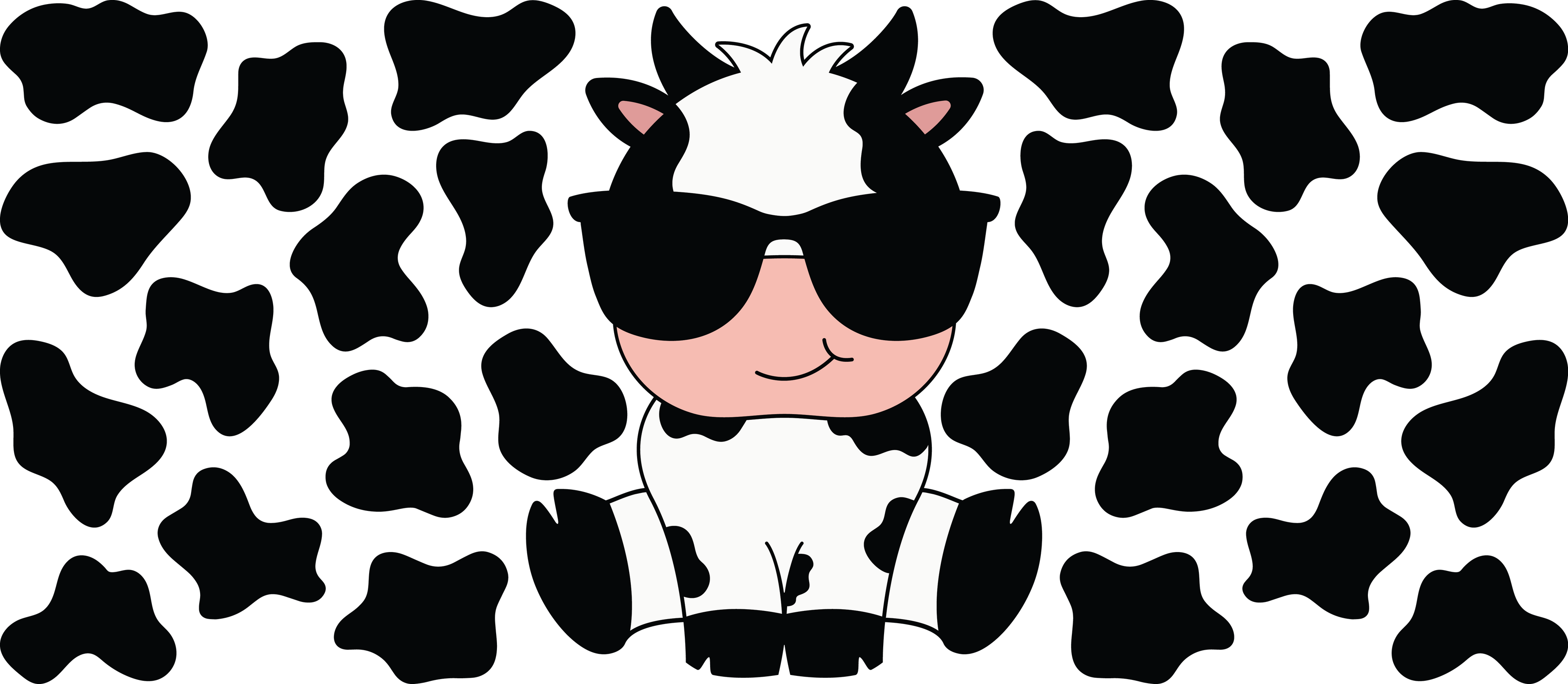 Cow's wraps and T shirt